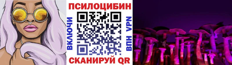 Псилоцибиновые грибы мицелий  Бородино 